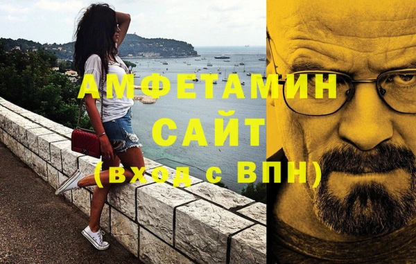 метадон Алексин