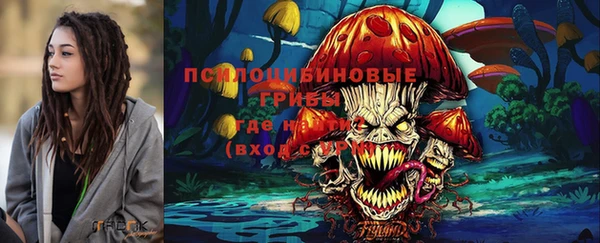 метадон Алексин