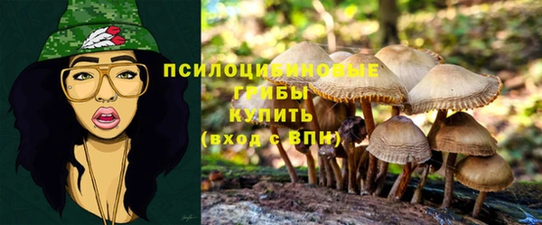 таблы Алзамай